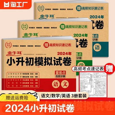 2024小升初试卷真题卷模拟测试卷语文数学英语必刷题人教版全国通用小学毕业系统总复习资料六年级下册名校名卷期末冲刺语数英卷子