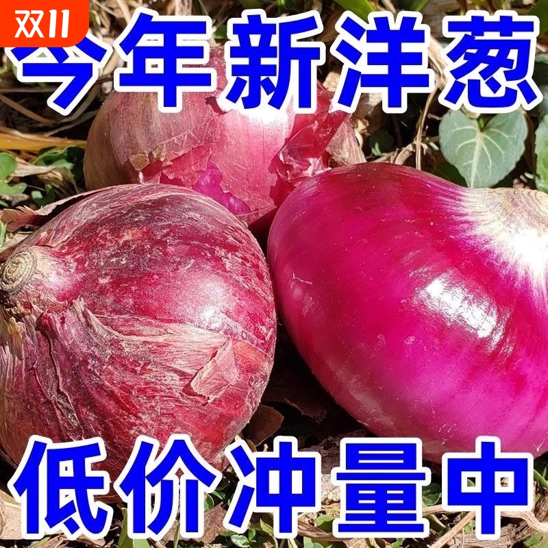 头茬洋葱新鲜云南紫皮水果5斤生吃脆爽小圆葱头蔬菜包邮脆甜自种