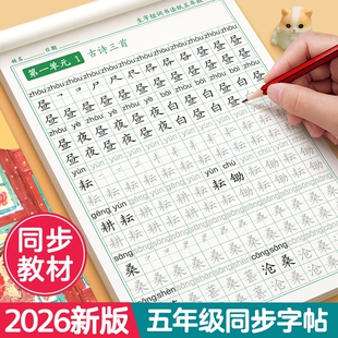 2026新版五年级上下册练字帖人教版语文同步生字字帖小学生专用语文每日一练儿童生字组词练习练字本写字贴课练带笔画笔顺描红楷书