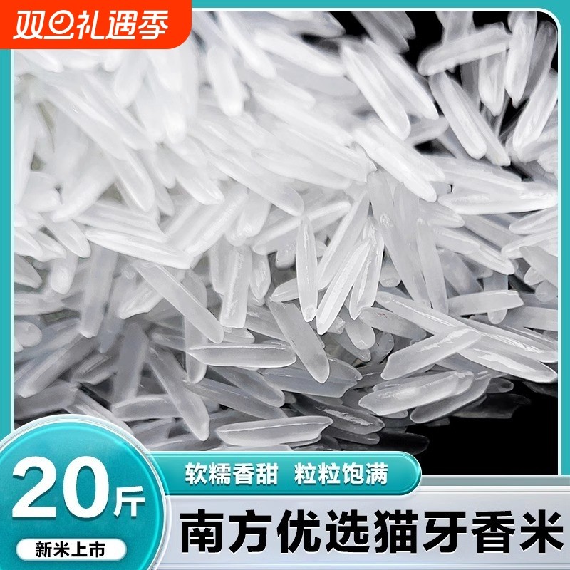 热销直售2025猫牙米长粒蒸煮香软适中丝苗米籼米家用南方优质新米
