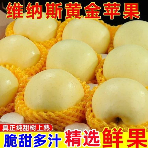维纳斯黄金苹果脆甜多汁