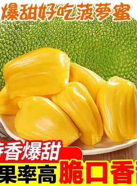 当季海南黄肉菠萝蜜新鲜现摘一整个干苞木菠萝特产热带水果假榴莲
