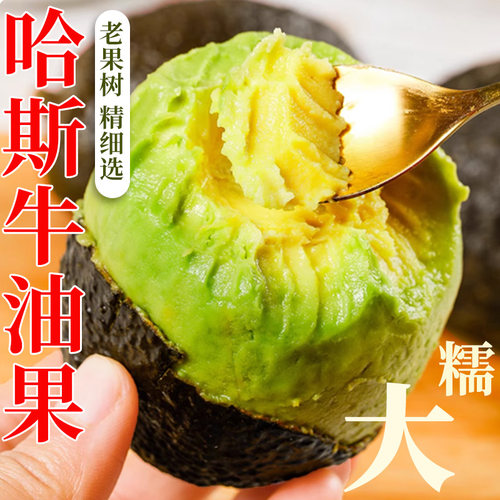 云南孟连哈斯牛油果新鲜水果孕妇熟透即食一级大鳄梨国产顺丰整箱