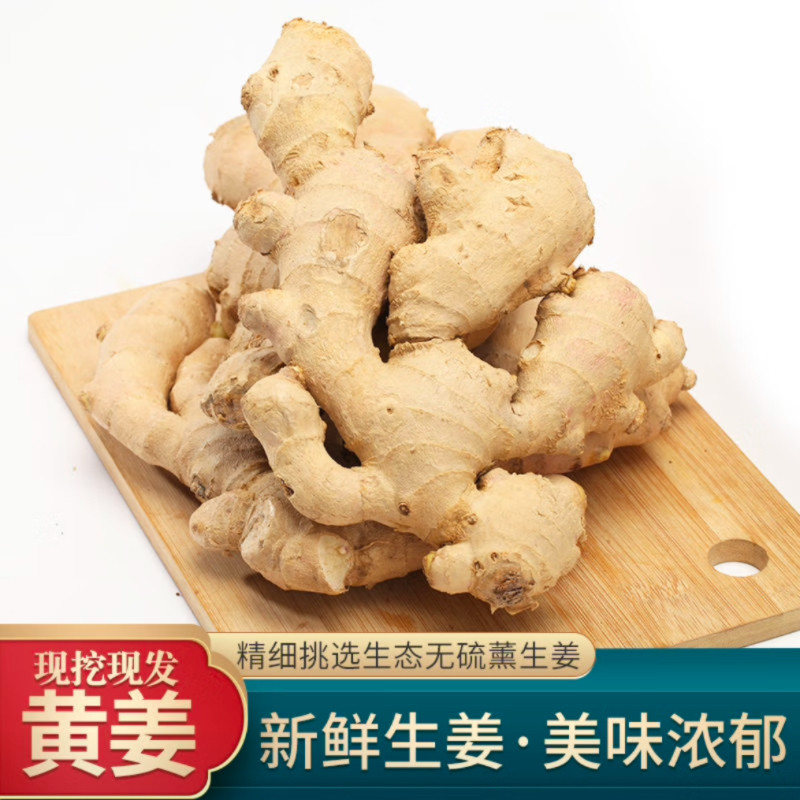山东大姜优质生姜老姜新鲜大黄姜精品带泥生姜块老生姜老黄姜