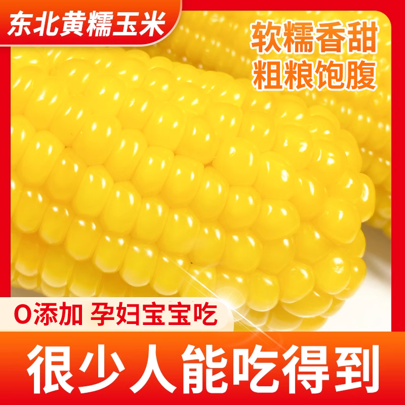 当季东北黄糯玉米棒粘糯玉米批发即食真空装玉米棒子代餐早餐粗粮
