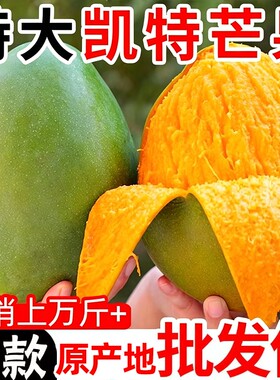 正宗四川攀枝花凯特芒果新鲜9斤