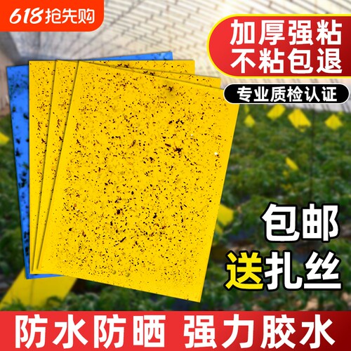 黄板双面粘虫板粘力超强防水耐用