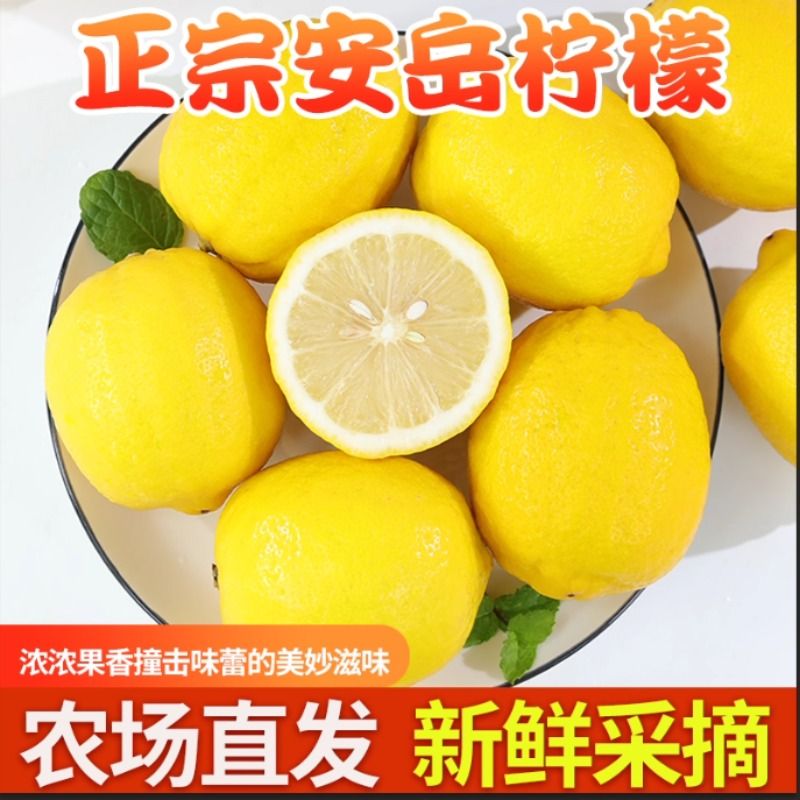 正宗安岳黄柠檬头茬果薄皮新鲜水果现采摘四川应季鲜果商用榨汁果