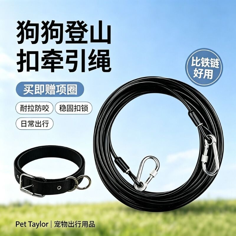 加长尼龙项圈款拴狗钢丝绳大型犬超长牵引绳中型犬小型犬链子防咬图片