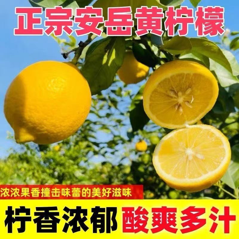 安岳直发黄柠檬泡水喝vc维C水果新鲜当季生鲜中大果整箱奶茶薄皮