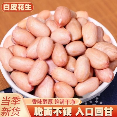 新货花生米颗粒饱满净重无沙