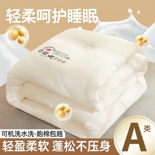 被子空调被被芯棉被秋冬被2024新款 通用宿舍褥子 加厚大豆纤维四季