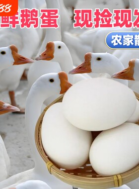 农家散养大鹅蛋新鲜正宗土鹅蛋现捡现发正宗放养孕妇宝宝