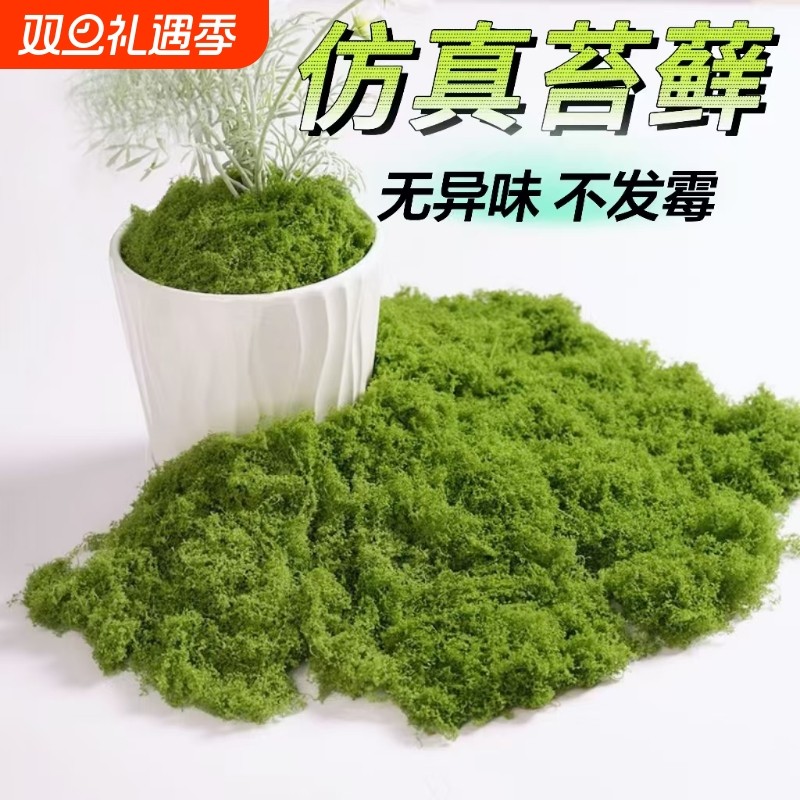 仿真苔藓草皮造景仿生假青苔微景观布置摆件草坪盆景盆栽铺面装饰