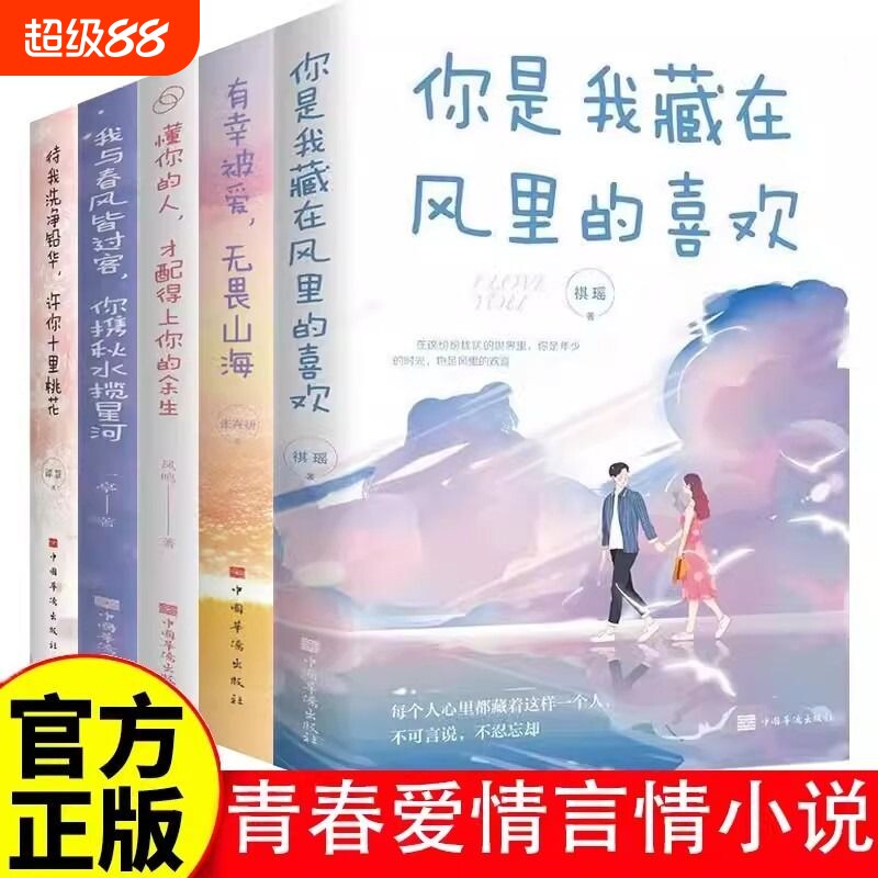 青春爱情言情小说书籍你是我风里的有幸被爱无畏山海懂你的人才配得上