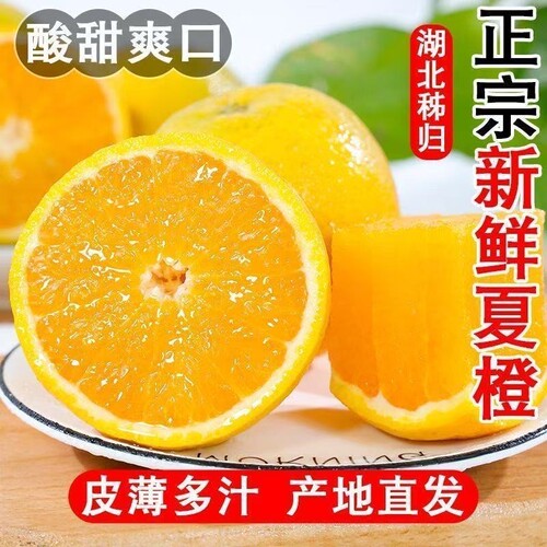夏脐橙正宗秭归新鲜橙子当季水果