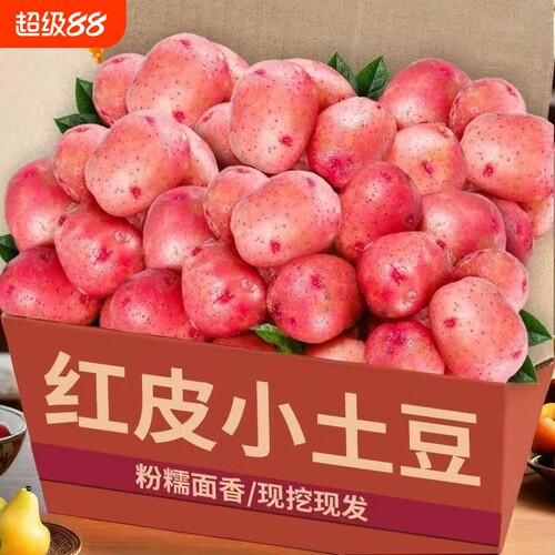 红皮黄心小土豆新鲜洋芋马铃薯现挖精品新鲜蔬菜批发5斤包邮9斤装