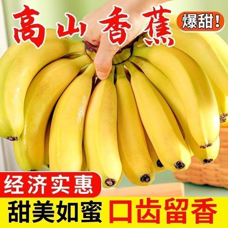 云南文山高山香蕉绿皮香蕉应季整箱包邮自然熟无催熟