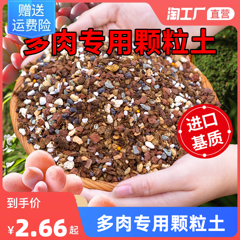 多肉土专用颗粒营养土植物进口泥炭种植土铺面石叶插纯颗粒土包邮