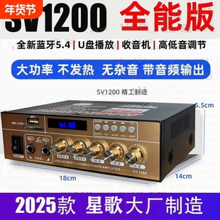 STARKLOK/SV1200大功率迷你小型蓝牙hi功放机家用无损12v插卡功放