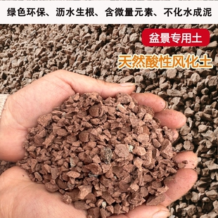 天然风化石风化土颗粒盆景专用根酸性红土颗粒金弹子土黄杨土种植