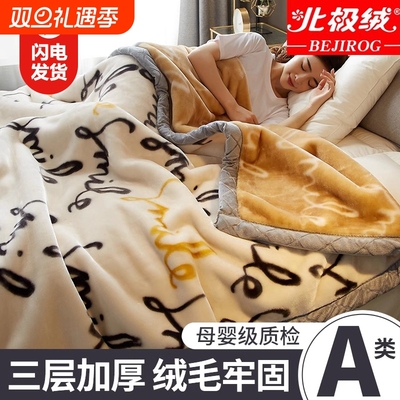 拉舍尔毛毯冬季加厚加绒午睡盖毯