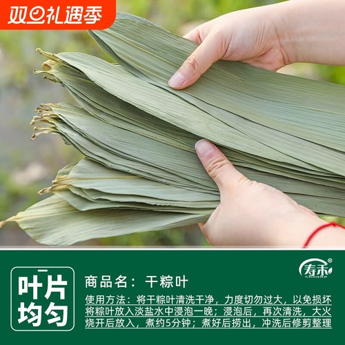 干粽叶新鲜粽子叶大号棕叶家用竹叶包粽子的粽叶特大码叶子斑斓叶