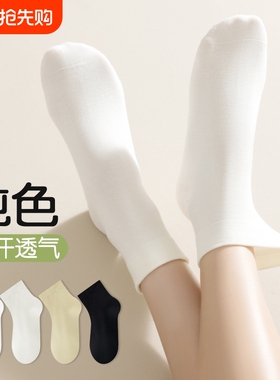 无骨袜子女士中筒袜夏季薄款防臭吸汗透气春秋薄款短筒袜白色短袜