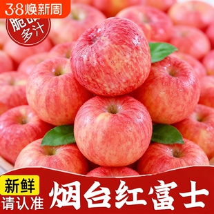 正宗烟台栖霞红富士新鲜脆甜苹果水果山东特产富士苹果整箱包邮