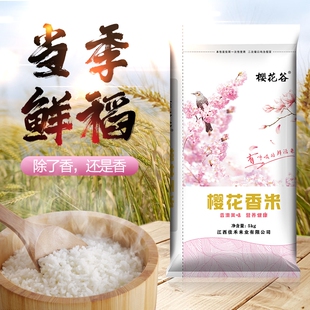 纯正樱花香米5kg10斤装大米