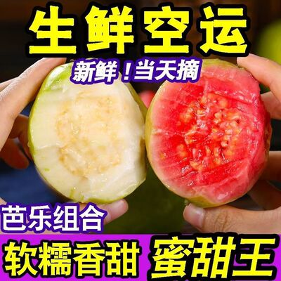 红白芭乐双拼番石榴广东红心心软当季白心奶油水果软心香甜新鲜