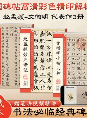 赵孟俯小楷道德经汲黯传赵孟頫妙严寺记文征明草堂十志毛笔楷书临摹字帖入门基础教程原贴书法中国碑帖高清解析本墨点勤礼碑技法