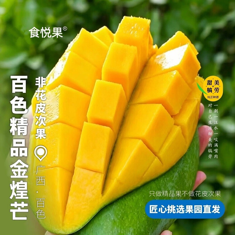 广西百色青皮金煌芒果包邮新鲜现摘当季热带水果核小果肉Q弹大果