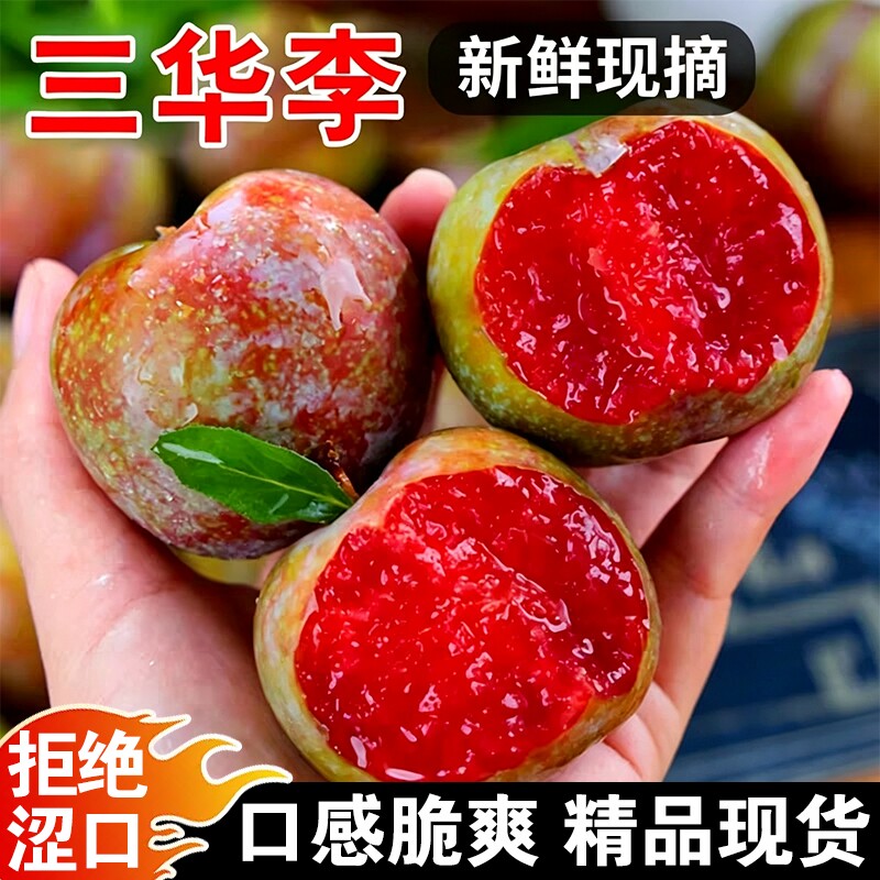 三华李正宗红心三月李子5斤装当季新鲜孕妇水果酸甜多汁包邮现摘 - 实物图