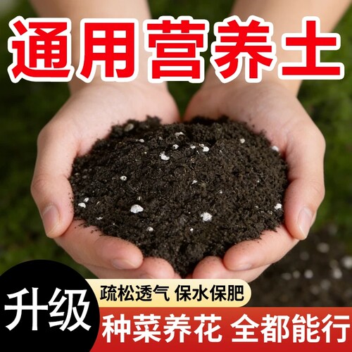 营养土花土土壤种植土养花专用通用型植物泥土盆栽多肉土家用种菜