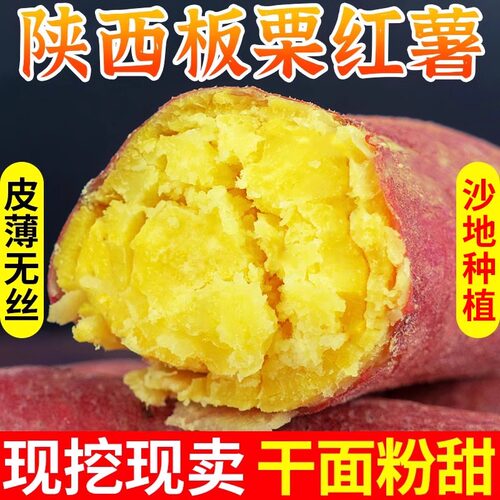 板栗红薯现挖新鲜粉糯栗面
