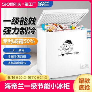 海帝兰一级节能小冰柜家用小型全冷冻冷藏两用柜迷你无霜商用冷柜