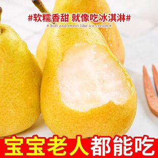 2026正宗烟台太婆梨香蕉梨新鲜当季整箱水果老东北茄梨丑啤梨