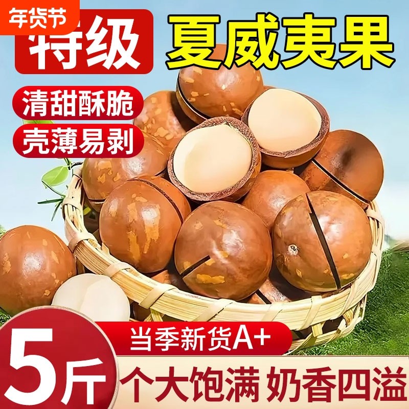 新货大颗粒夏威夷果500g奶油香味坚果装干果休闲原味年货坚果零食,零食/坚果/特产,夏威夷果,淘宝优惠券,粉丝福利购,淘宝优惠卷