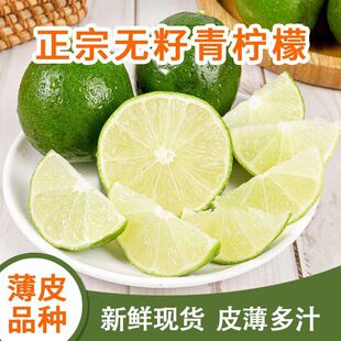 塔希提无籽青柠檬清香浓郁无苦涩新鲜皮薄家用饮品百搭的现摘果汁