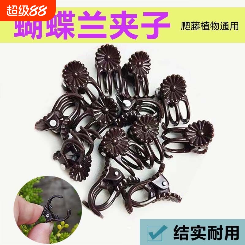 蝴蝶兰花夹花卉绿植固定夹爬藤固定塑料夹子专用夹支撑杆植物蔬菜