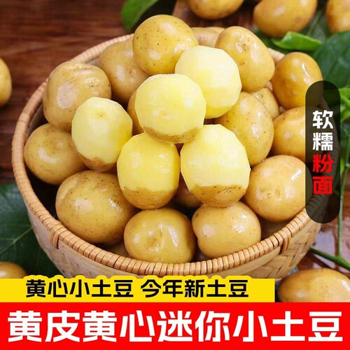 新鲜小土豆沙面粉糯迷你