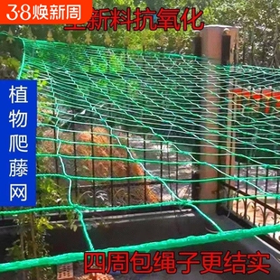 植物爬藤网攀援网园艺搭架网月季藤蔓花卉瓜果丝瓜苦瓜攀爬种植网
