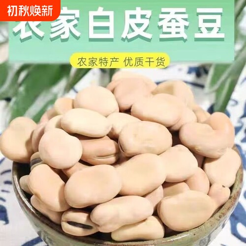 蚕豆干货干蚕豆生蚕豆生大粒生特产胡豆农家佛豆生白皮