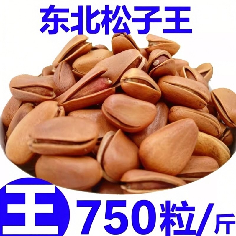 松子特大东北开口散装特级大颗粒500g原味红松子孕妇新货年货袋装