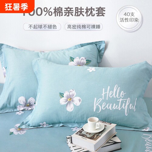 纯棉枕套一对装100全棉枕头套