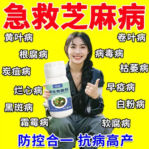 芝麻专用药防治瘟枯锈黄斑黄叶黑杆农药水死苗杀菌剂黑斑病微生物