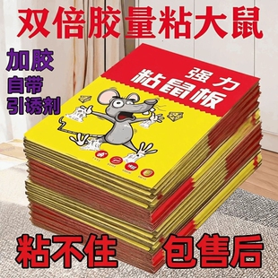 加大加厚粘鼠板强力粘胶厨房仓库捕鼠贴安全无害灭鼠粘板神器超强