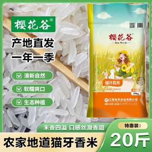 20斤新米猫牙香米长粒香米丝苗米农家大米米一季生态米业家用双11