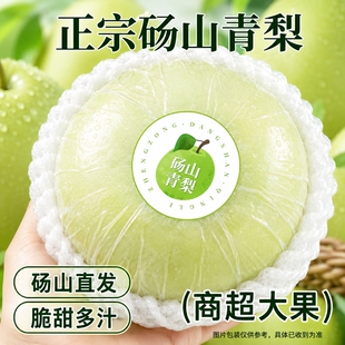 梨子正宗砀山梨翠冠梨子新鲜水果当季整箱青皮梨安徽苹果香梨酥梨